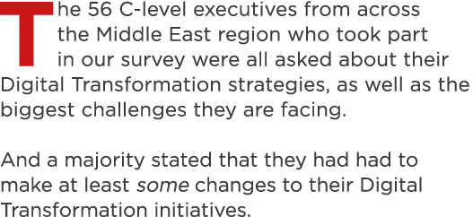 The 56 C-level executives from across the Middle East region who took part in our survey were all asked about their D   