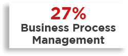 27% Business Process Management 