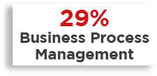 29% Business Process Management 
