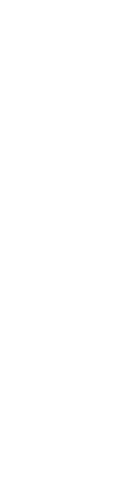 20% SPEED