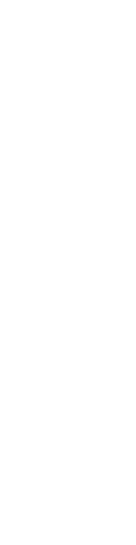 20% SECURITY
