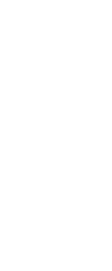 11% Security
