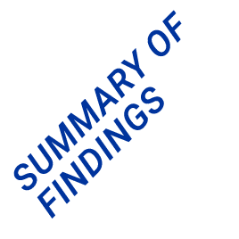 SUMMARY OF FINDINGS