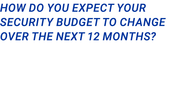 How do you expect your security budget to change over the next 12 months?