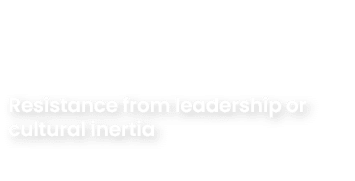 Resistance from leadership or cultural inertia 