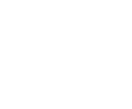 A key role as our main AI and data platform 