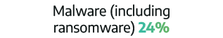 Malware (including ransomware) 24%