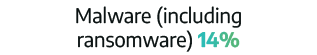 Malware (including ransomware) 14%