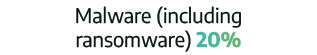Malware (including ransomware) 20%