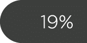19%