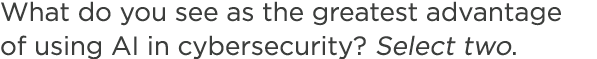 What do you see as the greatest advantage of using AI in cybersecurity? Select two.