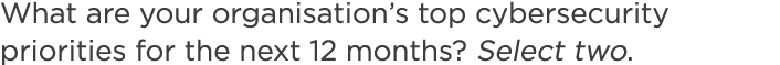 What are your organisation’s top cybersecurity priorities for the next 12 months? Select two.