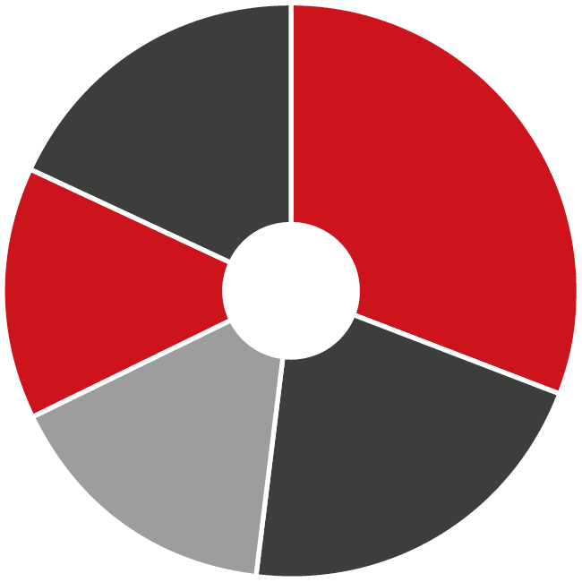 A red and gray circle with a white center. AI generated content