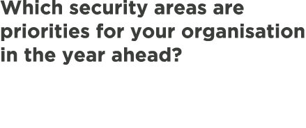 Which security areas are priorities for your organisation in the year ahead?