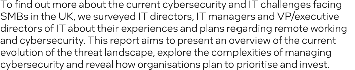 To find out more about the current cybersecurity and IT challenges facing SMBs in the UK, we surveyed IT directors, I...