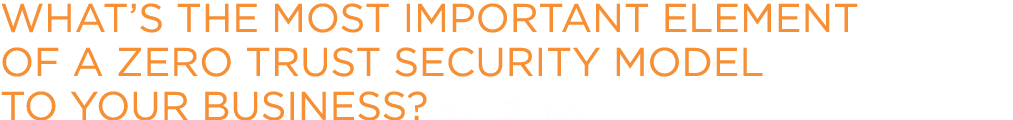 What’s the most important element of a Zero Trust security model to your business? Select one. 
