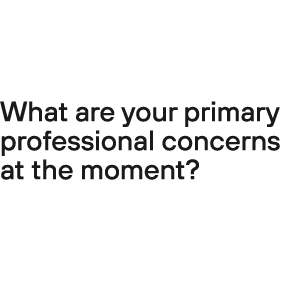 What are your primary professional concerns at the moment? 