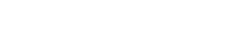 Summary of findings