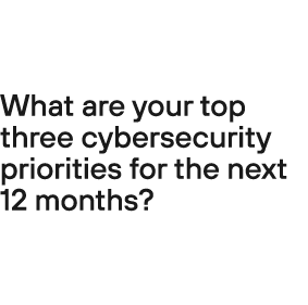 What are your top three cybersecurity priorities for the next 12 months?