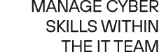 Manage cyber skills within the IT team 