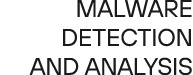 Malware detection and analysis 