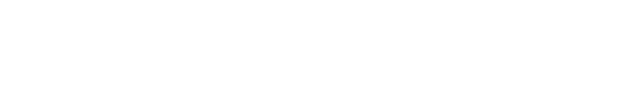 CIO Business and Cybersecurity Priorities 