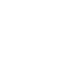 13% Some