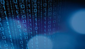 Data Protection Day 2021: Top tips for keeping your company data safe